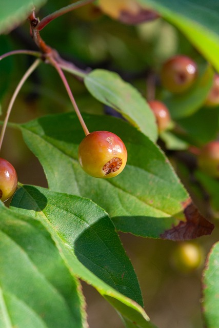 上的小插曲 上的小插曲