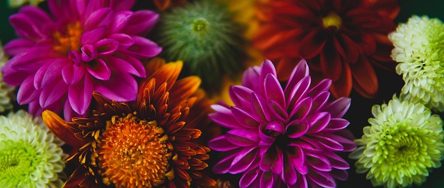 的姿态出现 的姿态出现