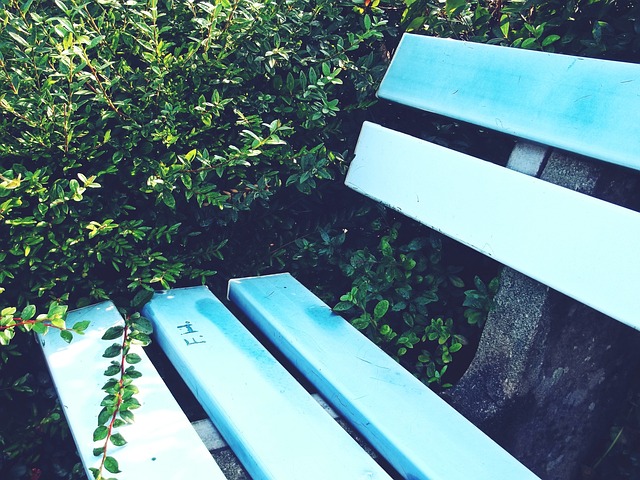 召入的球员 召入的球员