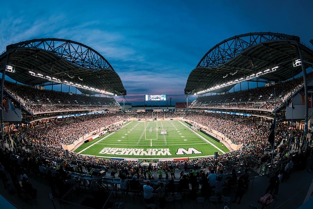 球迷和整个 球迷和整个